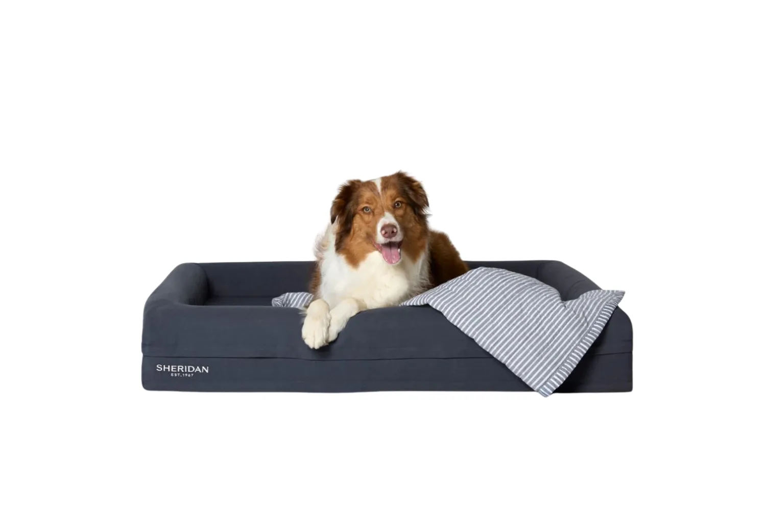 Product photo of Reilly Stripe Pet Blanket, laid on the Reggie Pet Bed with a medium dog lounging on top.