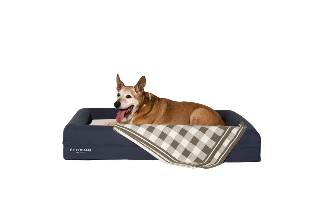 Product photo of Scout Pet Blanket laid over the Reggie Pet Bed with a medium sized dog lying down on top