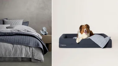 Product image of Sheridan's Reilly quilt cover set next to an image of a dog lying in the Reilly pet blanket