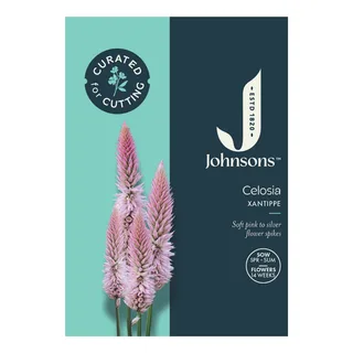 Johnsons Celosia Xantippe Seeds