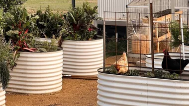 BHG-raised-garden-beds-hero