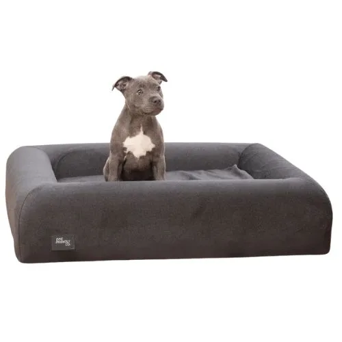 Dog Friendly Co. Premium Orthopedic Memory Foam Dog Bed