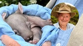 Don’t drive past! Dr Harry urges Aussies to do this if they see roadkill