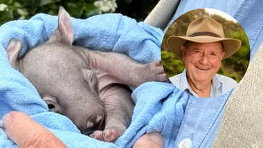 Don’t drive past! Dr Harry urges Aussies to do this if they see roadkill