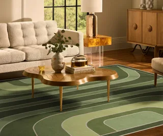 Paradox Green rug by Jonathon Adler, Ruggable