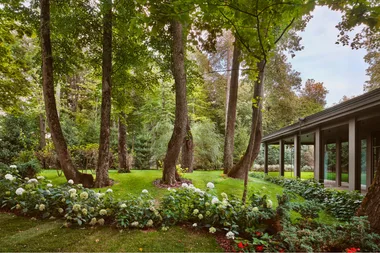 beautiful garden