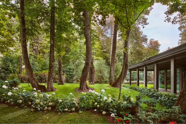 beautiful garden