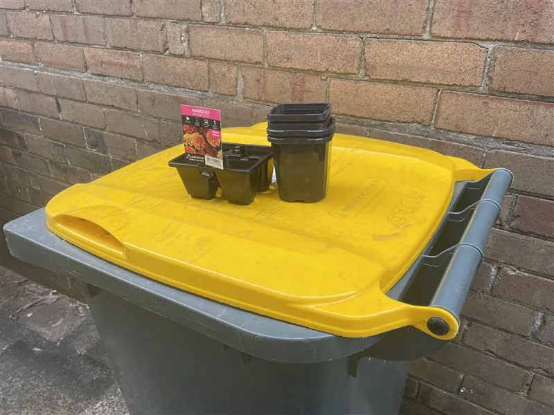 yellow bin in alleyway with plastic pots sitting on top