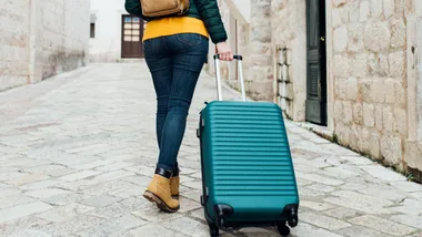 luggage needing to be checked for brown marmorated stink bug