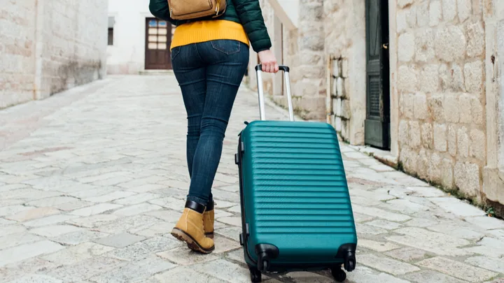 luggage needing to be checked for brown marmorated stink bug
