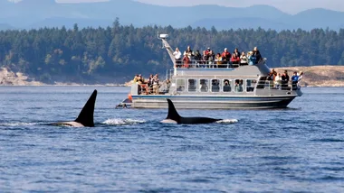 Save on experiences of a lifetime with a Redballoon coupon code.
