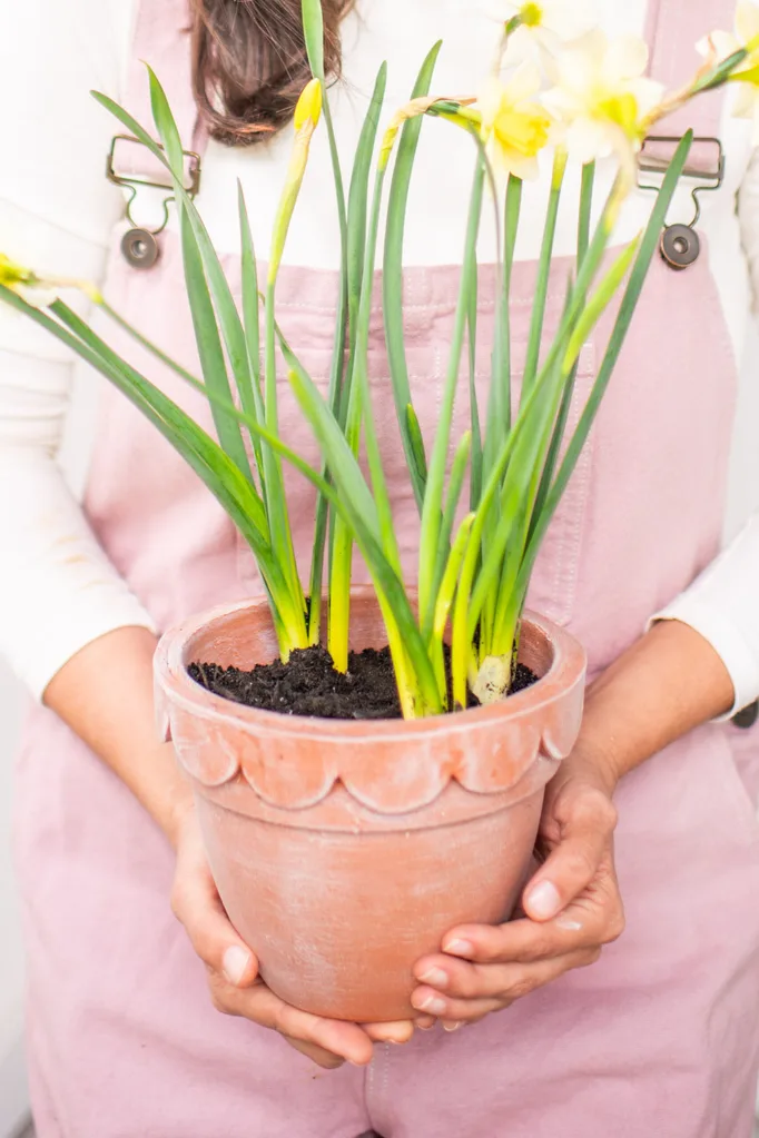 scalloped terracotta pot held by geneva wearing pink overalls