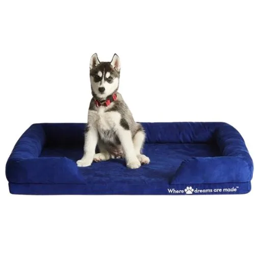 Sleep Republic Dog Bed - Black Friday pet sales