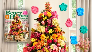 Get your bonus cookie cutters with our Christmas issue!