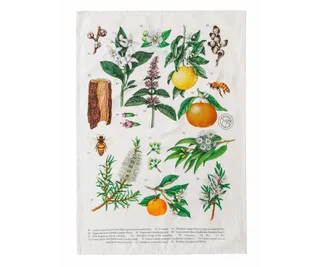 Terra Botanica tea towel, Koala Eco