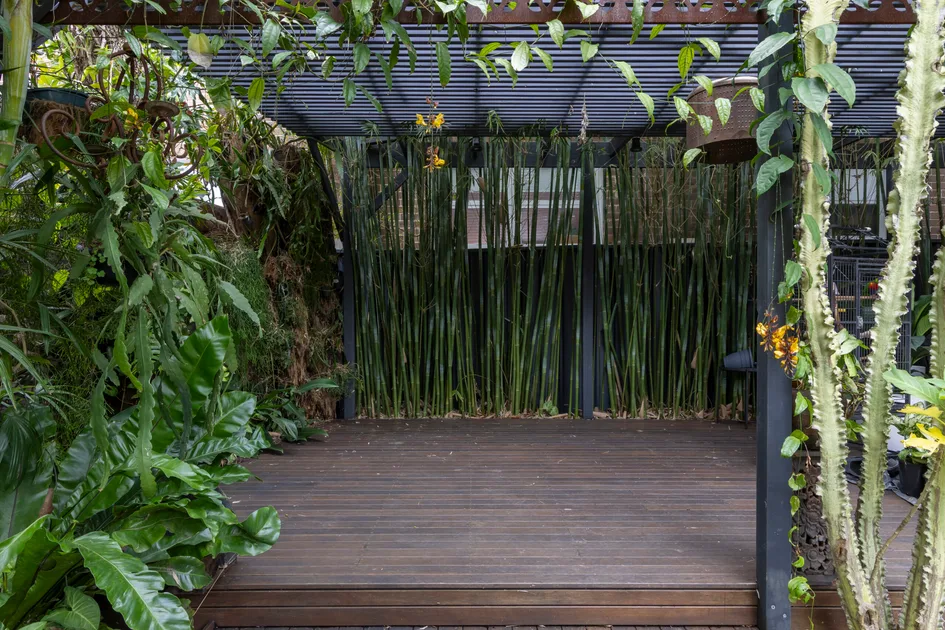 Melissa King turns a shady corner into a calm garden retreat