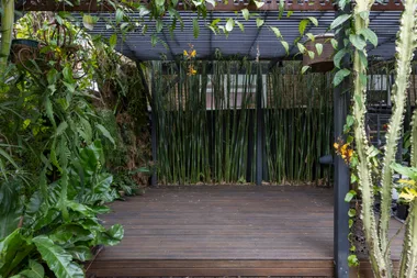 The dark deck before Melissa King's garden makeover.