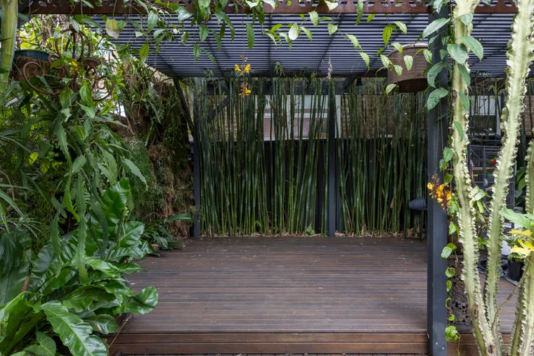 The dark deck before Melissa King's garden makeover.