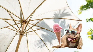 No pool? Here’s 5 genius ways to stay cool this summer