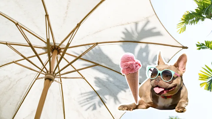 No pool? Here’s 5 genius ways to stay cool this summer