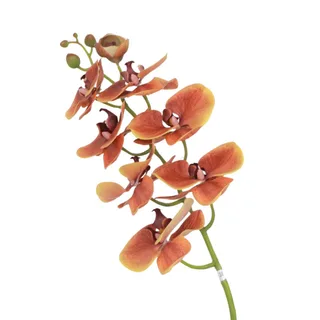 Artificial real touch orchid, Floral Forest