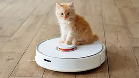 An orange fluffy kitten sitting on top of a white robot vacuum cleaner on a wooden floor.