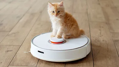 An orange fluffy kitten sitting on top of a white robot vacuum cleaner on a wooden floor.