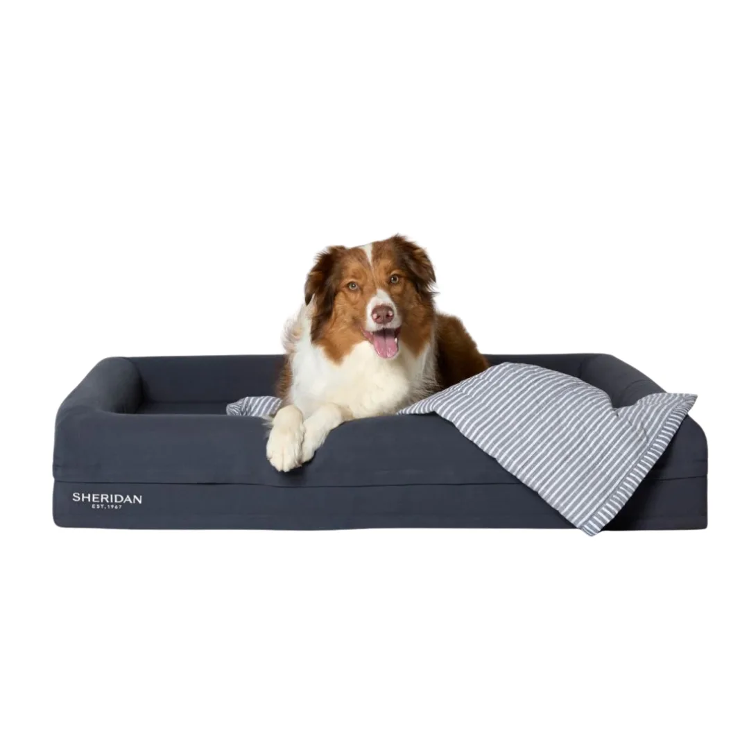 Product image of the Reggie Pet Bed as part of the Sheridan Black Friday pet sale 2025