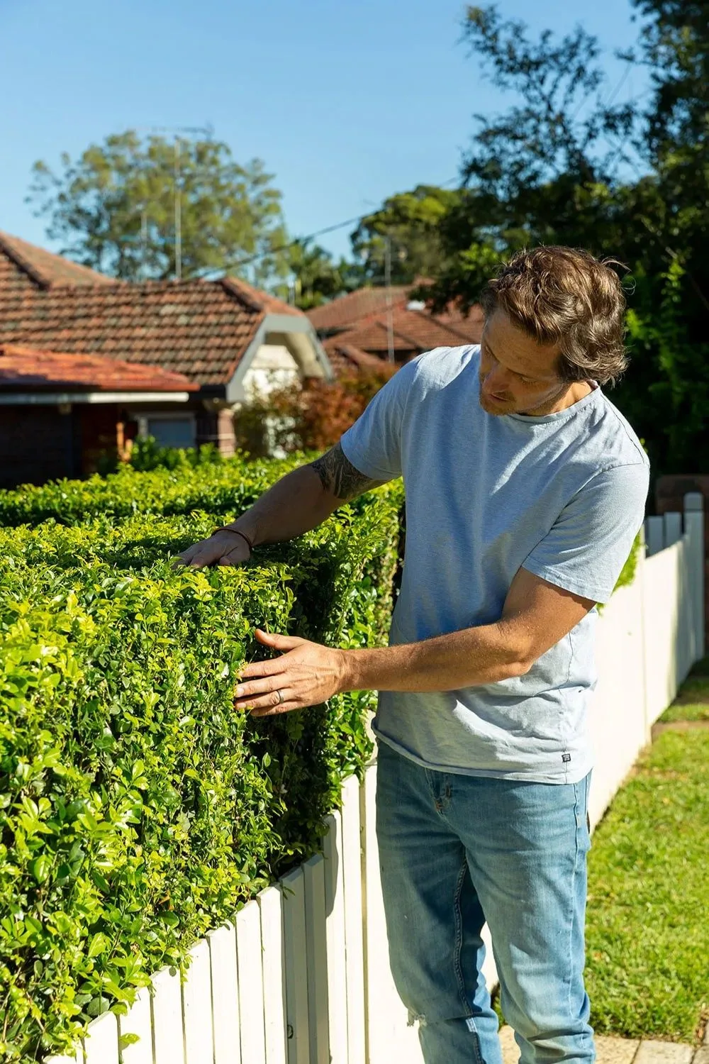 Charlie Albone garden hedge