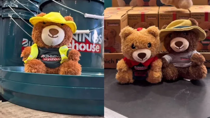 Bunnings confirms what the ultra-rare mystery mini bear actually is