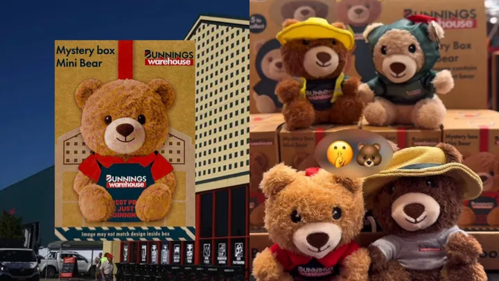 bunnings mini keychain bears