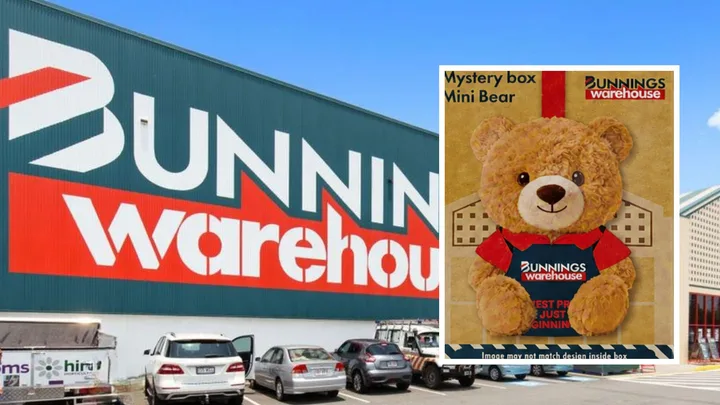 Bunnings’ Mini Bears return, plus your odds of finding the rare bear