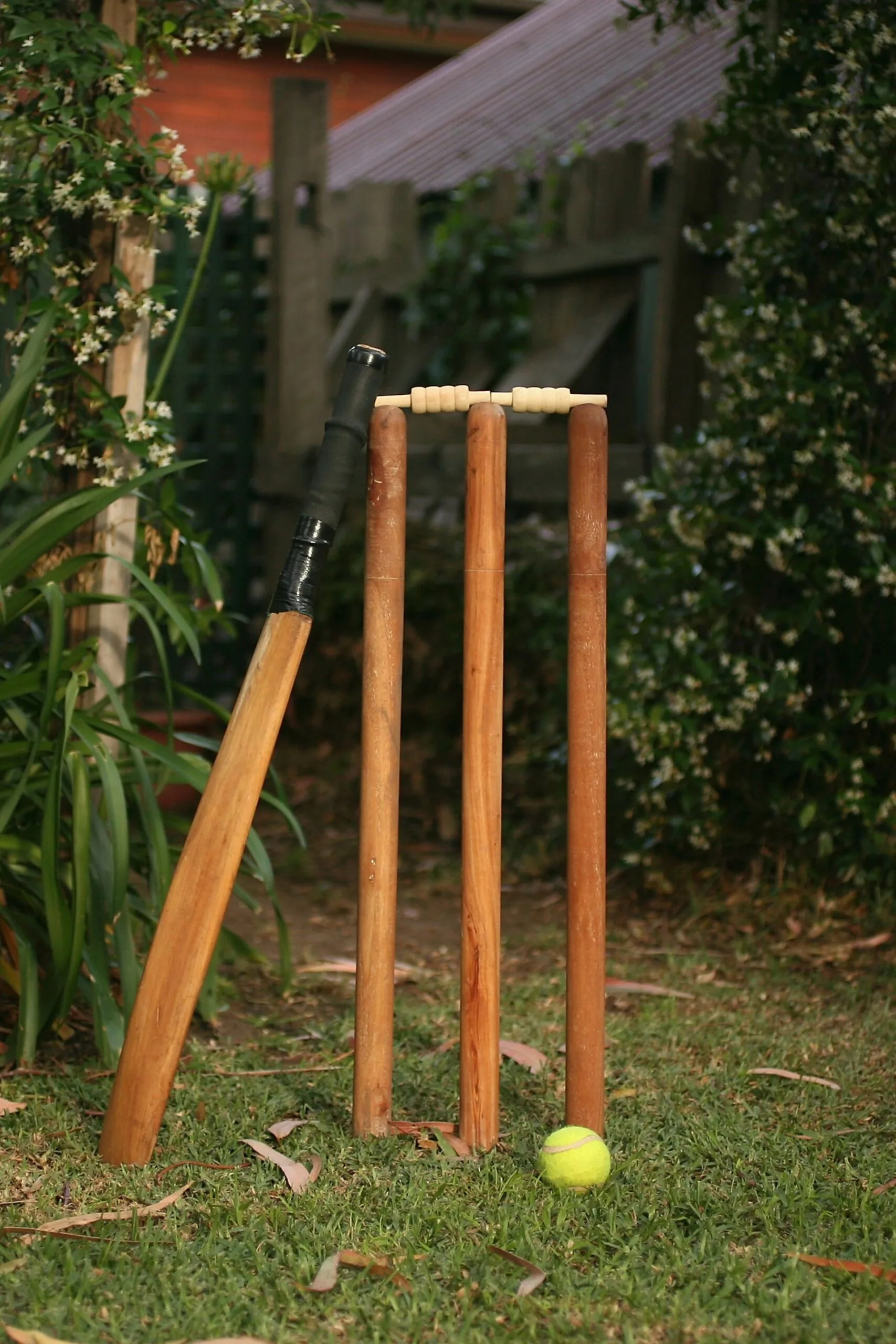 cricket stumps in backyard
