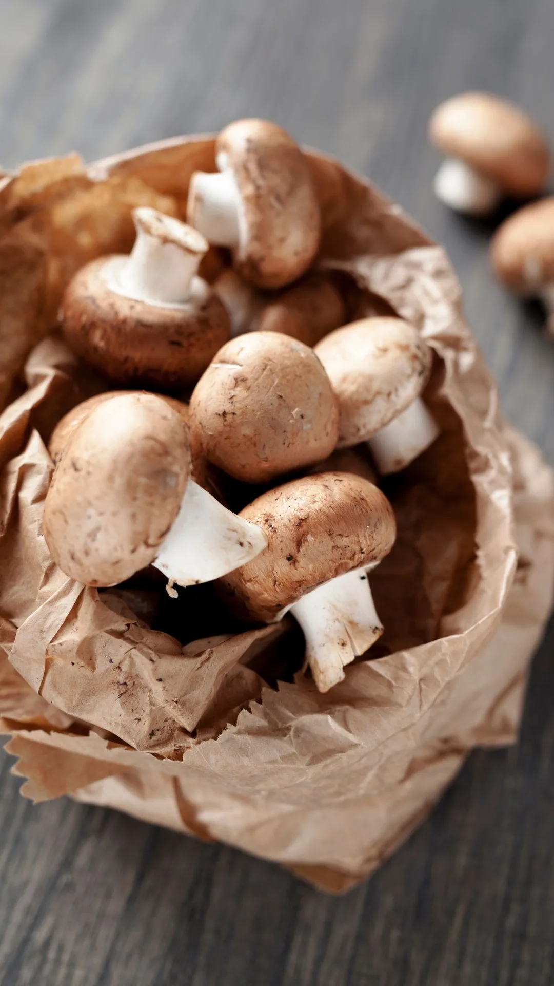 bag of mushrooms on a bench in a paper bag