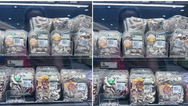 mushrooms stored in plastic in the supermarket