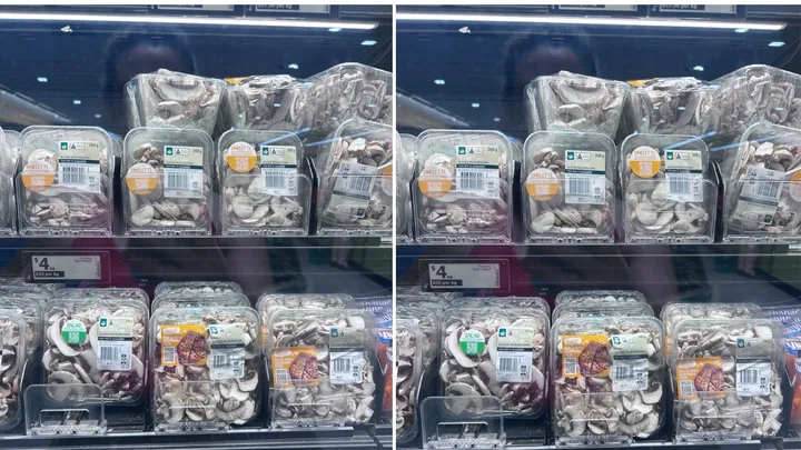 mushrooms stored in plastic in the supermarket
