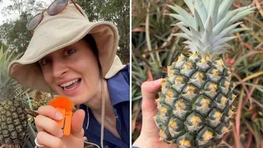 pineapple oversupply on Australian farms with eliza veggie scientist talking into camera on one side and her holding pineapple on the other