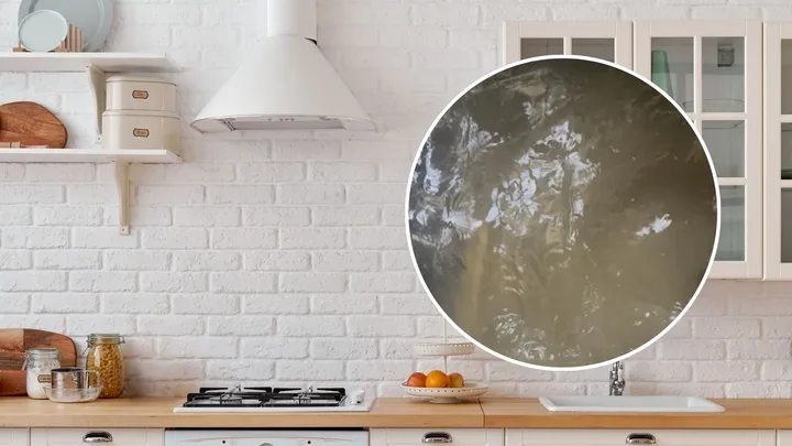 Cult Bunnings cleaner dissolves stubborn stove grease in minutes