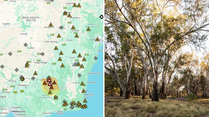map of bushfire warnings from rural nsw and image of gum trees in rural nsw