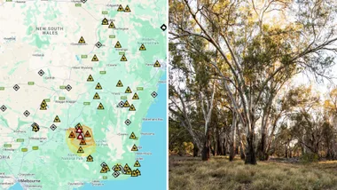 map of bushfire warnings from rural nsw and image of gum trees in rural nsw