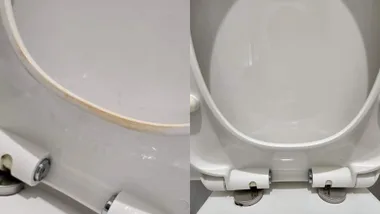 dirty toilet seat before and after