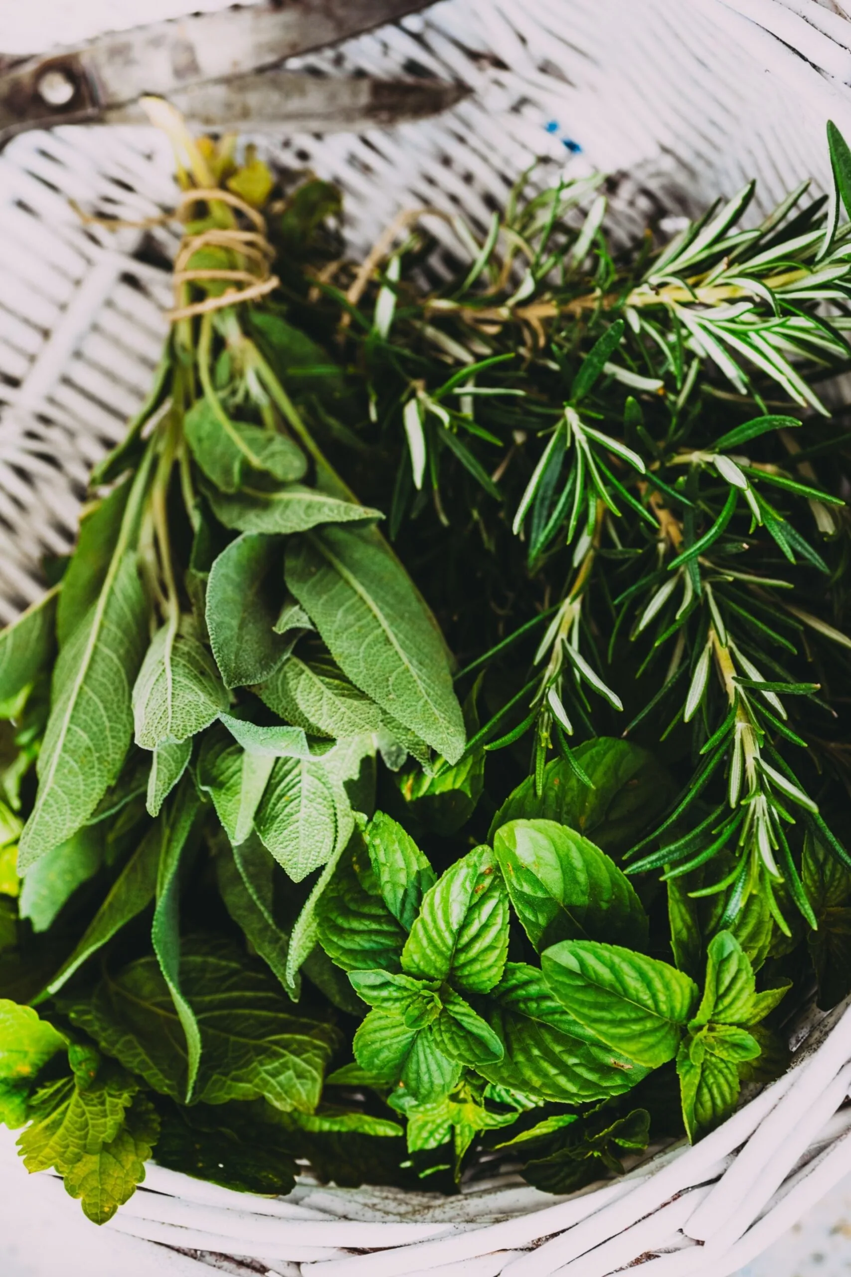  herbs sitting in a basket