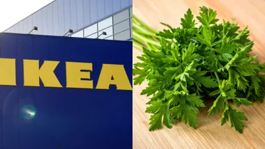 IKEA HERB STORAGE