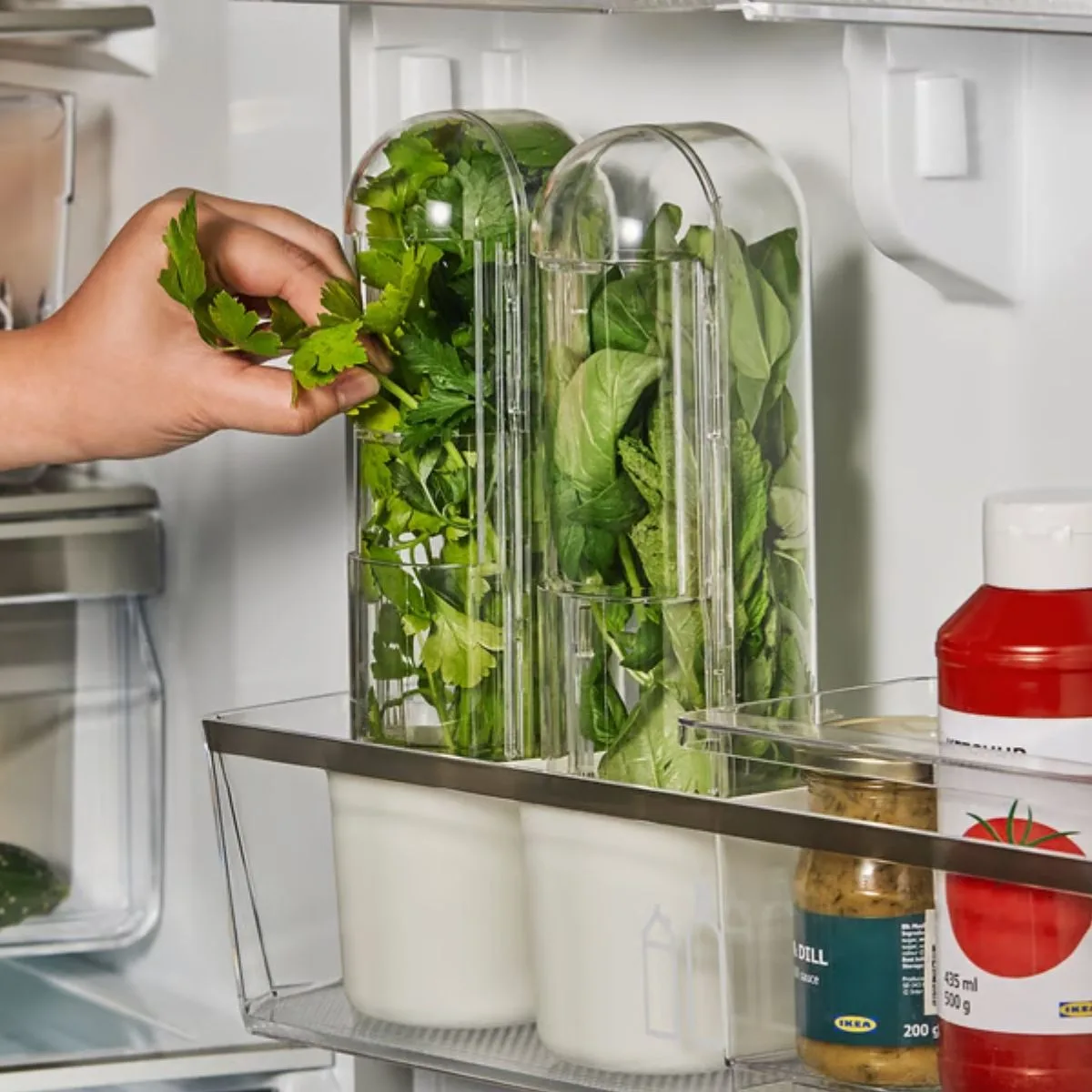 IKEA Australia's KLIPPKAKTUS herb storage container in the fridge