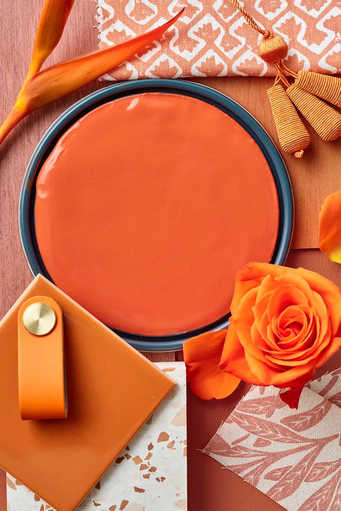 BHG Colour of the Year 2026 - Spiced Tangerine
