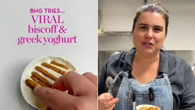 viral japanese biscoff yoghurt chesecake