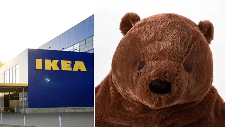 IKEA’s $40 bear has adults kissing it goodnight, and calling it their best friend