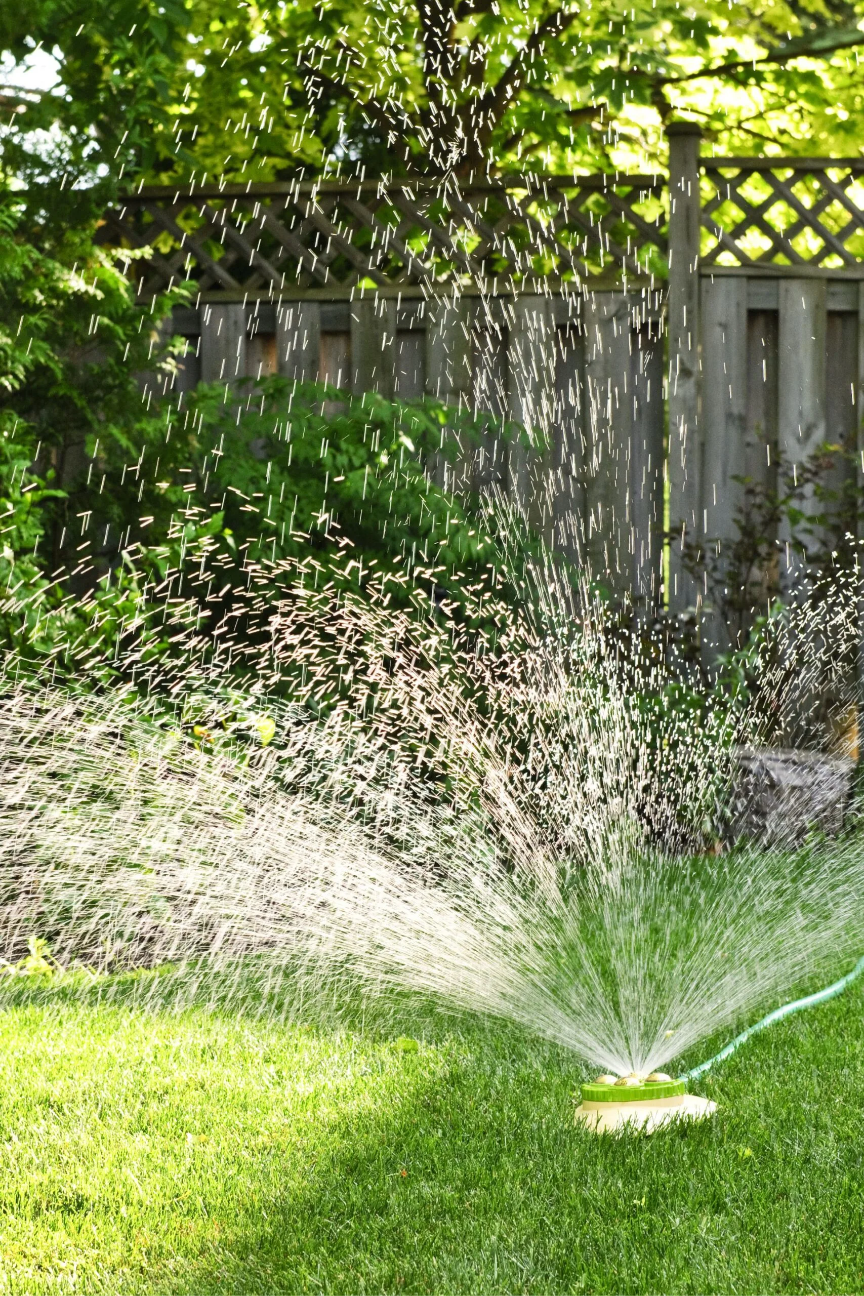 sprinkler watering a lawn