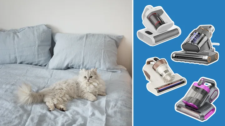 I didn’t think I needed a mattress vacuum, until I uncovered this gross secret