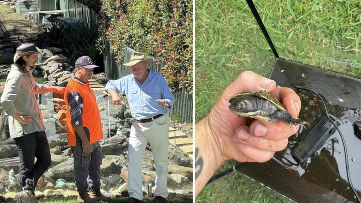 Dr Harry meets the rescuer who’s saved thousands of native turtles